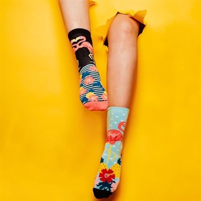 United Oddsocks Kadın Odd Go Flamingo Hediye Paketi - 6 Çorap, Çok renkli, UK 4-8 EUR 37-42 US 6.5-10.5