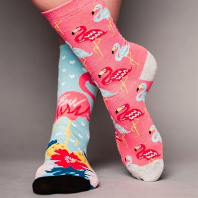 United Oddsocks Kadın Odd Go Flamingo Hediye Paketi - 6 Çorap, Çok renkli, UK 4-8 EUR 37-42 US 6.5-10.5