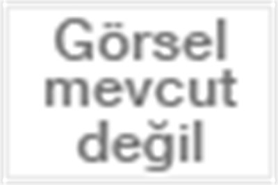 Vestel Mikrodalga Yansıtıcı Mika Levha Plaka -13x13cm