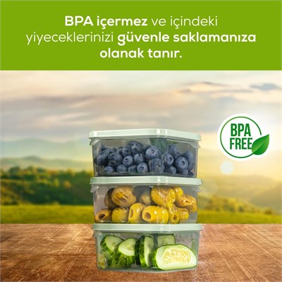 Vienev 12li 350 Ml Buzdolabı Dondurucu Organizer Mikrodalga Ve Difrize Uygun Saklama Kabı Mint