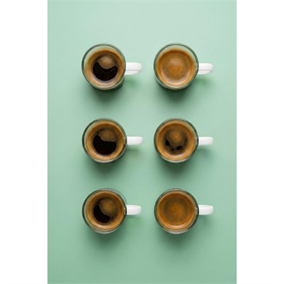 Vienev Beyaz Kulplu 6lı Cam Espresso Bardağı Seti - 95 Ml