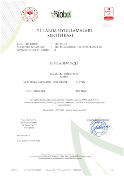 Villa TURQAN YENİ SEZON 1 Lt Erken Hasat Soğuk Sıkım Memecik Natürel Sızma Zeytinyağı | Tek Bahçe (2025/2026)