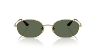 Vogue Eyewear Kadın Vo4323s Oval Güneş Gözlüğü