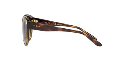 Vogue Eyewear Kadın Vo5457s Kelebek Güneş Gözlüğü