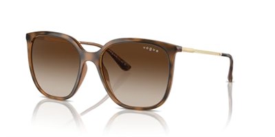 Vogue Eyewear Kadın Vo5564s Kare Güneş Gözlüğü
