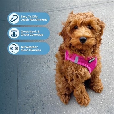 Voyager Step-in Air Dog Harness - Best Pet Supplies tarafından Küçük ve Orta Boy Köpekler için Tüm Hava Koşullarına Uygun Örgü Adım Yeleği - Koşum Takımı (Fuşya), XX-Small (2 paketi)