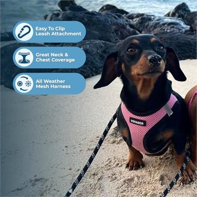 Voyager Step-in Air Köpek Tasması, Her Havada Kullanılabilen File, Yansıtıcı, Küçük, Orta Boy Köpekler, Kediler İçin Çekme Yapmayan Tasma, Kanca ve Halka Bağlantı Elemanı ile Güvenli, Toka, Çift
