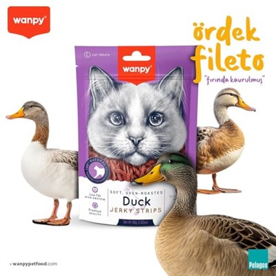 Wanpy Gerçek Ördek Fileto 80 gr Yumuşak Kedi Ödülü