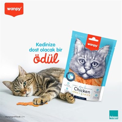 Wanpy Oven Roasted Tavuklu Yumuşak Taneli, 80 g, Kedi Ödülü