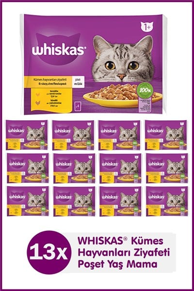 Whiskas Jellyde 1+ Yetişkin Tavuk Kümes Hayvanı Seçimi, 40 Torba, Yetişkin Islak Kedi Yemi, Megapack (40 x 85 g)