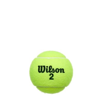 Wilson Champ Extra Duty Tennis Balls
