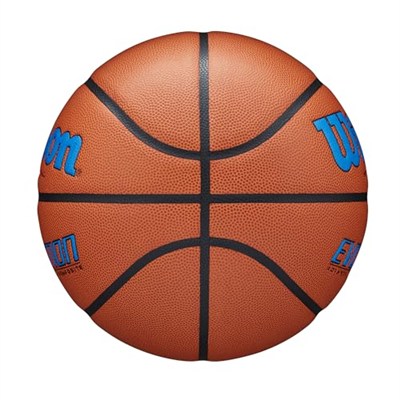WILSON Evolution İç Mekan Maç Basketbol Topları - 5 Numara, 6 Numara ve 7 Numara