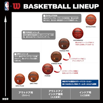 Wilson NBA Forge Serisi İç/Dış Mekan Basketbol Topları