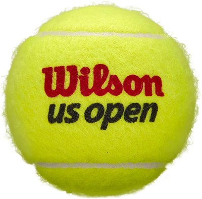 WILSON US Open Tennis Balls