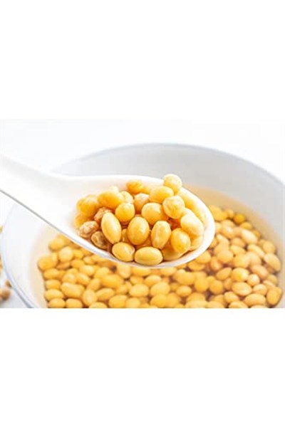 XUSHI GIDA Soya Fasulyesi ( Drıed Soybean) - 1000g