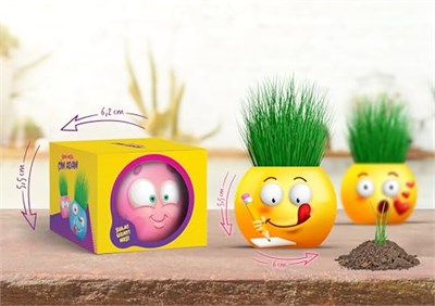 YUUP Emoji Temalı Çim Adam 6lı Set – Çocuklar İçin Eğitici ve Eğlenceli Bitki Yetiştirme Kiti