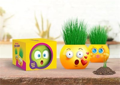 YUUP Emoji Temalı Çim Adam 6lı Set – Çocuklar İçin Eğitici ve Eğlenceli Bitki Yetiştirme Kiti