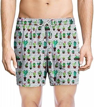 ZEYBRA Kaktüs Boxer Külot