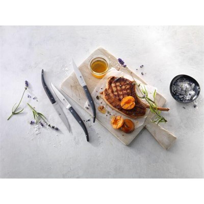 Zwilling 4lü Biftek Bıçağı Seti