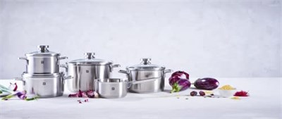 Zwilling Focus 5 Parça Tencere Seti, Paslanmaz Çelik, Gümüş Rengi