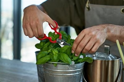 Zwilling Kitchen Shears Çok Amaçlı Makas, Paslanmaz Çelik, Kırmızı