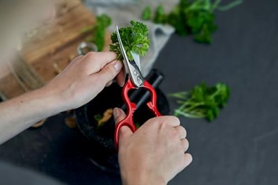 Zwilling Kitchen Shears Çok Amaçlı Makas, Paslanmaz Çelik, Kırmızı