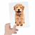 HEADU FLASHCARDS TACTILE MONTESSORİ (1-4 YAŞ)