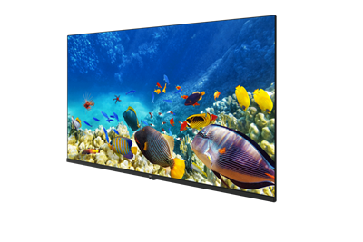 B40K 590G HOTEL TV Hotel Tv