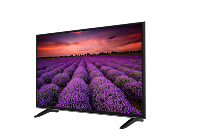 B49L 7950 5B / 4K Non-Smart 49