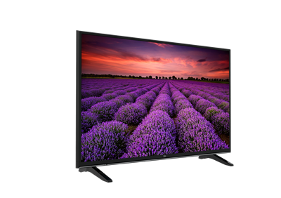 B49L 7950 5B / 4K Non-Smart 49