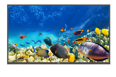 B55K 785 HOTEL TV Smart TV
