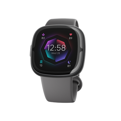 Fitbit Sense 2 Siyah/Gri Akıllı Bileklik