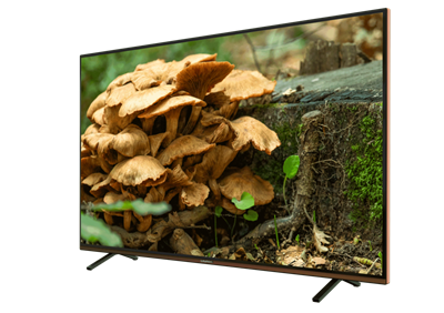 GRUNDIG PARIS 49 CLX 8675 BP Grundig