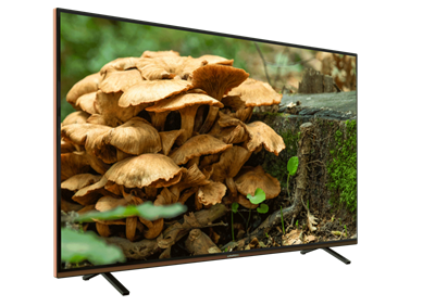 GRUNDIG PARIS 49 CLX 8675 BP Grundig