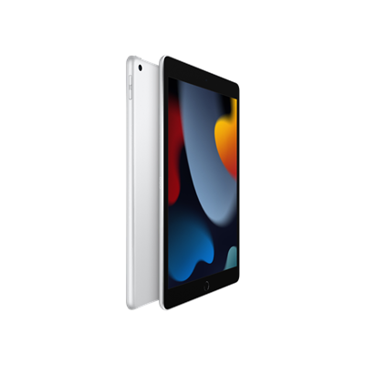 iPad 9.Nesil Wi-Fi 64 GB 10.2