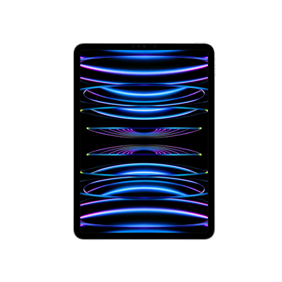 iPad Pro 11 (2022) WF 256GB Gümüş Tablet