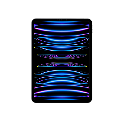iPad Pro 11 (2022) WF 2TB Gümüş Tablet