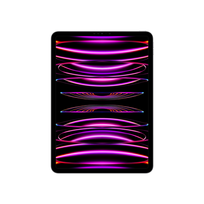 iPad Pro 11 (2022) WF 512GB Uzay Grisi Tablet