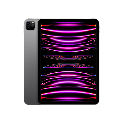 iPad Pro 11 (2022) WF-CL 1TB Uzay Grisi Tablet