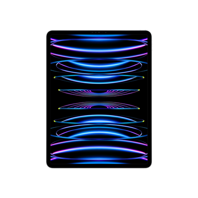 iPad Pro 12.9 (2022) WF 256GB Gümüş Tablet
