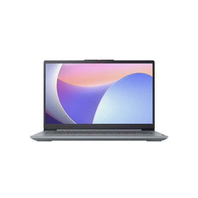 Lenovo N100 4 128 82XB009HTX Laptop