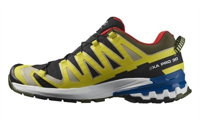 Salomon Xa Pro 3D V9 Gore-Tex Erkek Patika Koşu Ayakkabısı