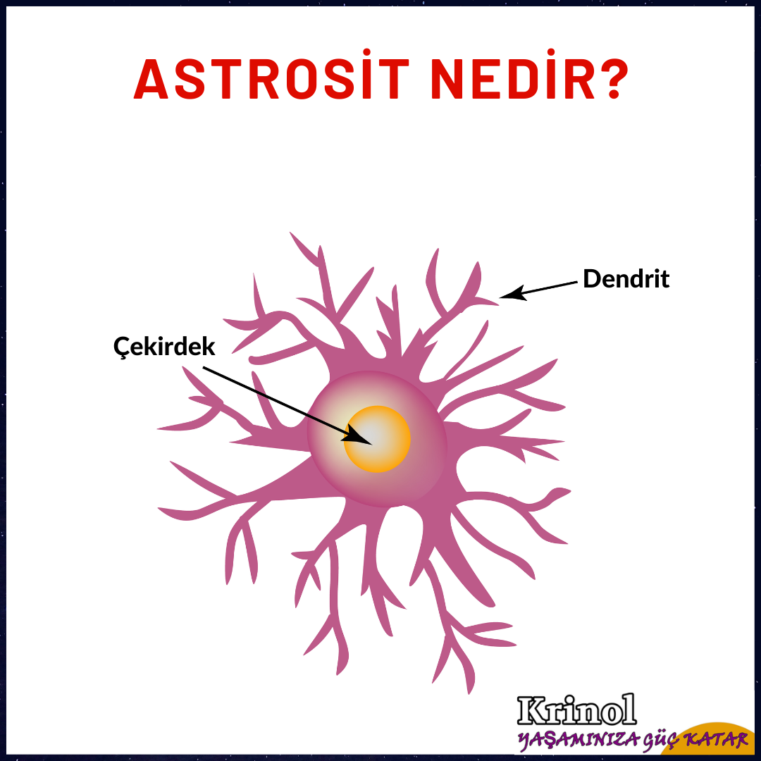 Astrosit Nedir?