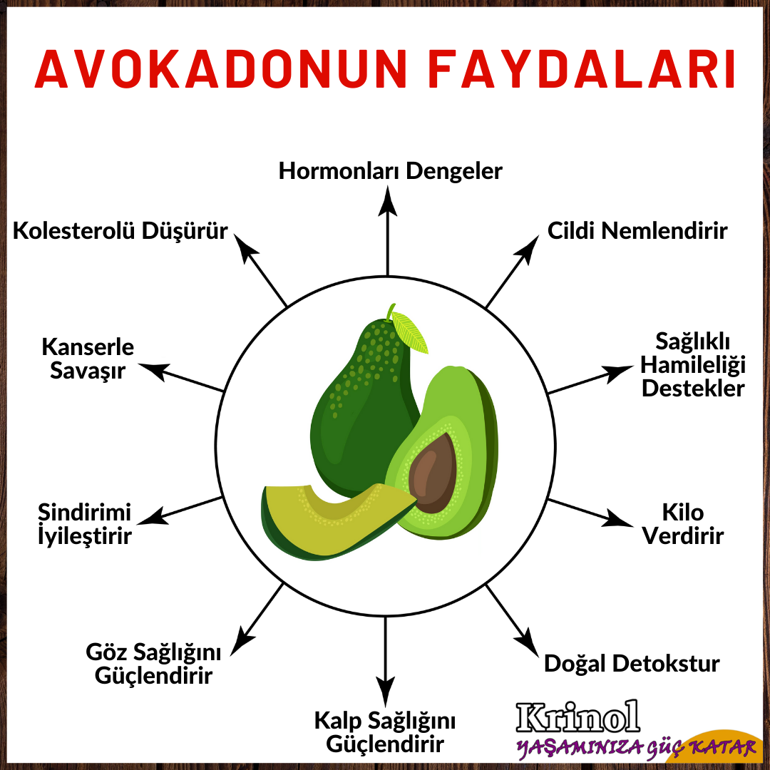 Avokadonun Faydaları Nelerdir?