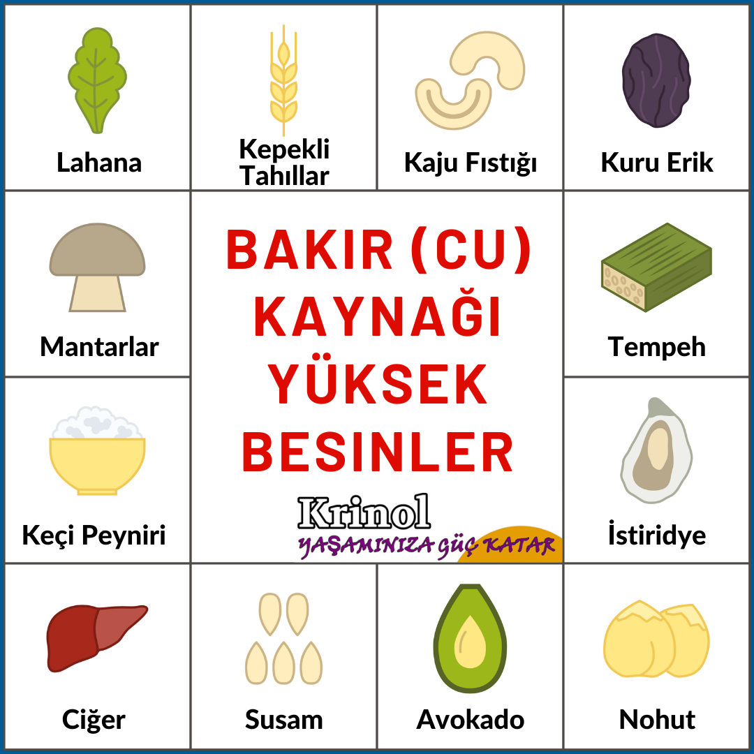 Bakır Kaynağı Yüksek Besinler Nelerdir?