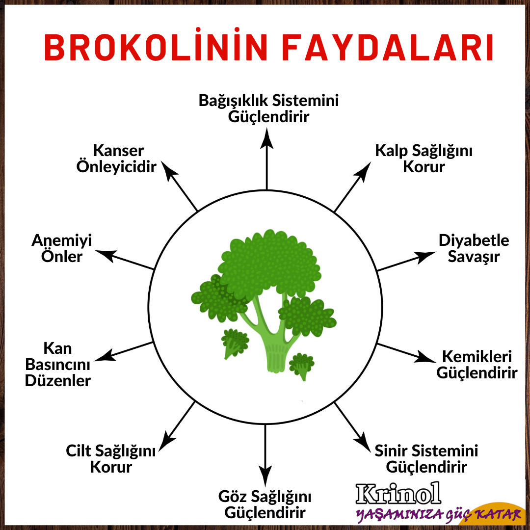 Brokolinin Faydaları Nelerdir?