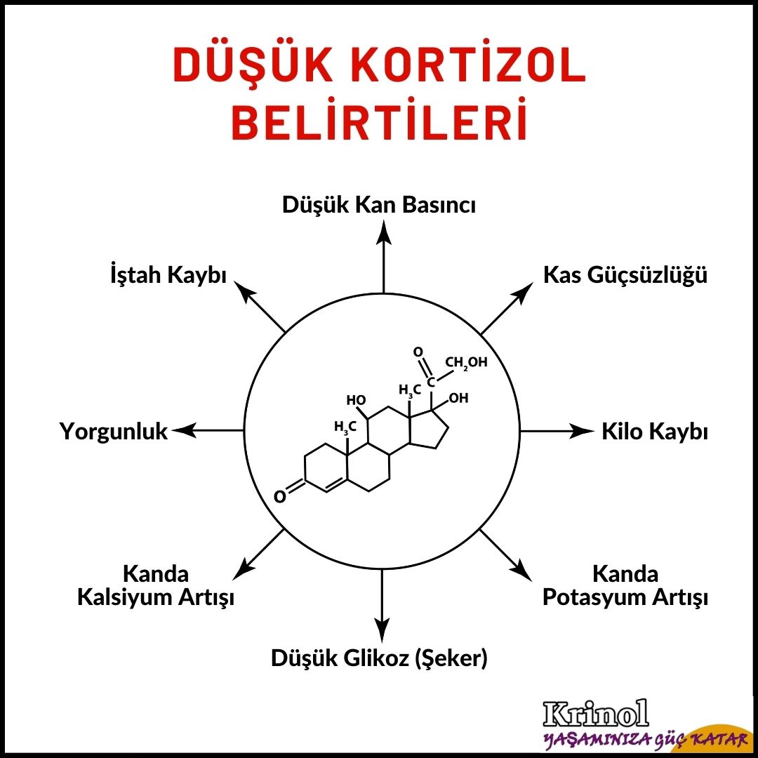 Düşük Kortizol Belirtileri Nelerdir?