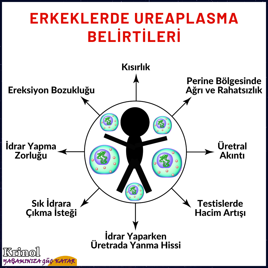 Erkeklerde Ureaplasma Belirtileri Nelerdir?