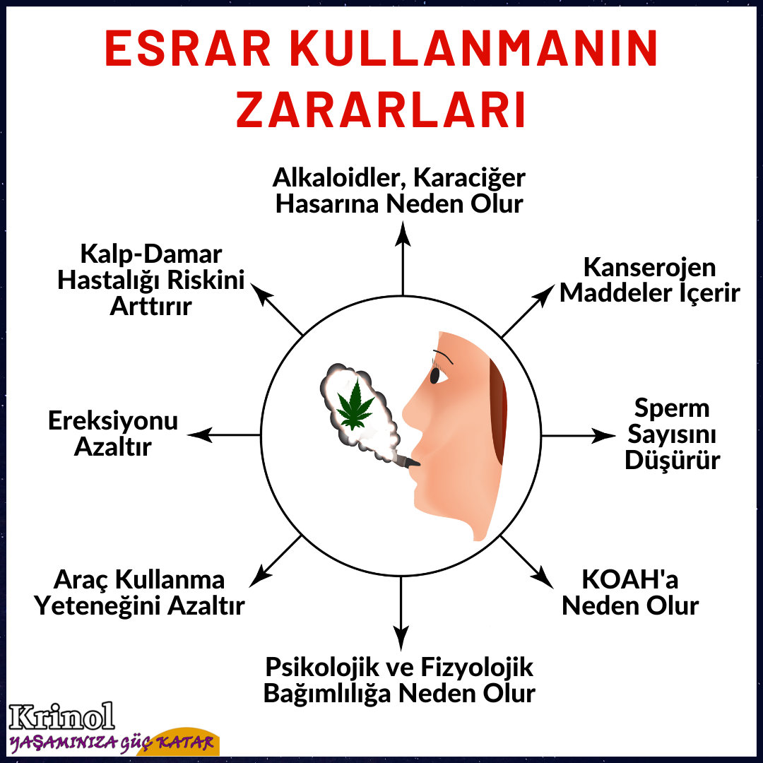 Esrar Kullanmanın Zararları Nelerdir?