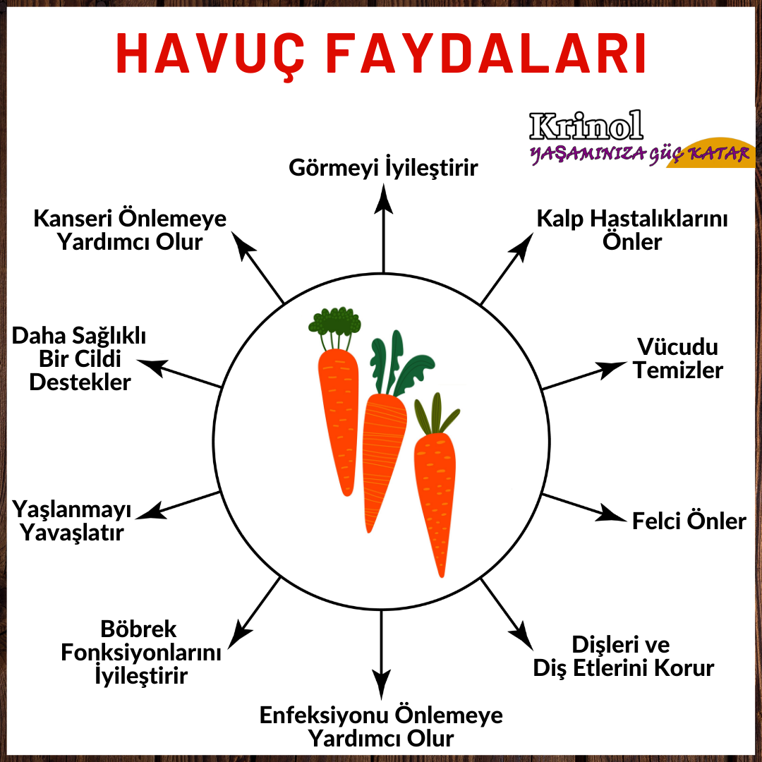 Havuç Faydaları Nelerdir?